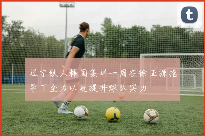 辽宁铁人韩国集训一周在徐正源指导下全力以赴提升球队实力