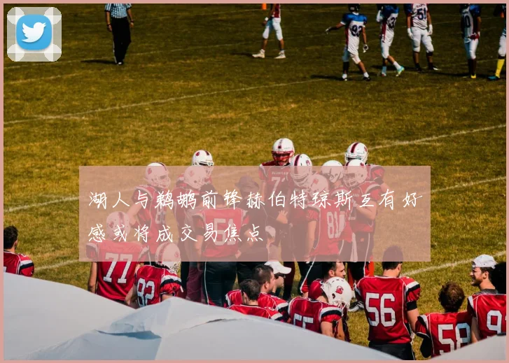 湖人与鹈鹕前锋赫伯特琼斯互有好感或将成交易焦点