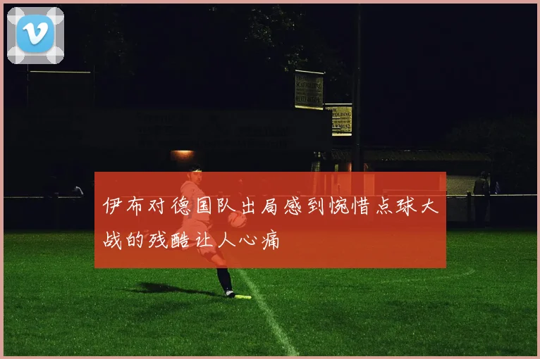 伊布对德国队出局感到惋惜点球大战的残酷让人心痛